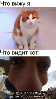 😏 emoji котональное вторжение члена 2 Telegram sticker 16 of 51