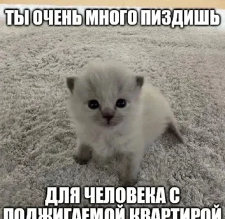 😒 emoji котональное вторжение члена 2 Telegram sticker 20 of 51