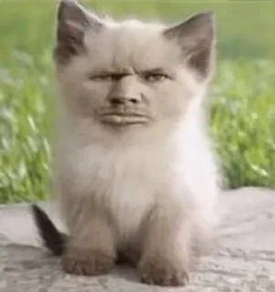 😑 emoji котональное вторжение члена 2 Telegram sticker 13 of 51