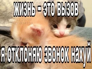 🖕 emoji котональное вторжение члена 2 Telegram sticker 4 of 51