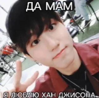 🐿️ emoji МАМА Я ЛЮБЛЮ STRAY KIDS BY Im_ Telegram sticker 5 of 8