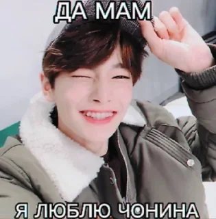 🦊 emoji МАМА Я ЛЮБЛЮ STRAY KIDS BY Im_ Telegram sticker 8 of 8