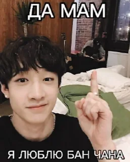 🐺 emoji МАМА Я ЛЮБЛЮ STRAY KIDS BY Im_ Telegram sticker 1 of 8