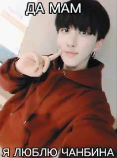 🐷 emoji МАМА Я ЛЮБЛЮ STRAY KIDS BY Im_ Telegram sticker 3 of 8