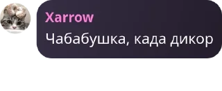 🥷 emoji Пиздецкор @QuotLyBot Telegram sticker 19 of 120