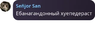 Sticker from Пиздецкор @QuotLyBot