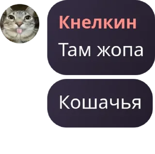 🧶 emoji Пиздецкор @QuotLyBot Telegram sticker 21 of 120