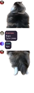 🥕 emoji Пиздецкор @QuotLyBot Telegram sticker 22 of 120