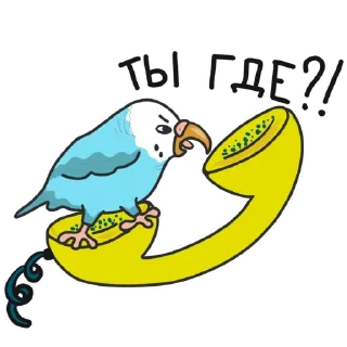 Sticker from parrot @TVstickers