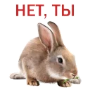 Sticker from 19:47