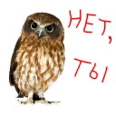 Sticker from 19:47