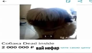 Sticker from хуйлуши бьют баклуши