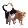 🐱 emoji stars @TgEmojiBot Telegram sticker 2 of 190