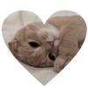 🌟 emoji stars @TgEmojiBot Telegram sticker 18 of 190