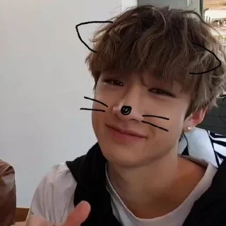 😸 emoji _my lovely chani🐈‍⬛*” Telegram sticker 3 of 68