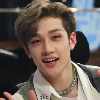 ❤️‍🩹 emoji _my lovely chani🐈‍⬛*” Telegram sticker 22 of 68