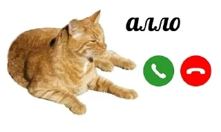 🌟 emoji Ква Telegram sticker 9 of 35