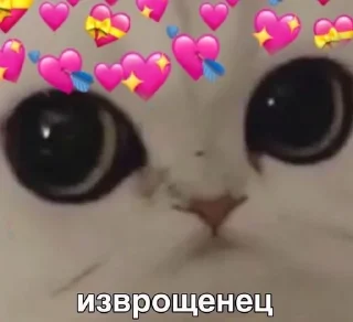 Sticker from Хз что за стикеры 2х