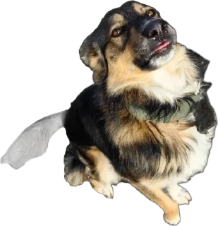 🌟 emoji Мои друзья Telegram sticker 14 of 48