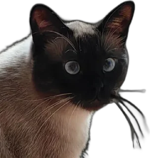 🌟 emoji Мои друзья Telegram sticker 24 of 48