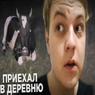 Sticker from Приехал в деревню