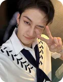 😉 emoji Бан Чан мой муж Telegram sticker 24 of 30