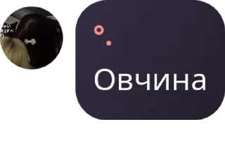 Sticker from Ищю парня или девушку ЛД ЛП 10 pack by @QuotLyBot