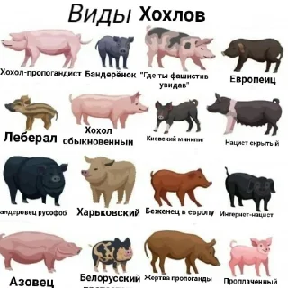 Sticker from Карательный Батальон "СТРЕЛА"