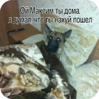 Sticker from пошли нахуй @TgEmodziBot
