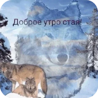 🐶 emoji пошли нахуй @TgEmodziBot Telegram sticker 5 of 14