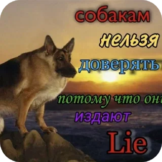 🤳 emoji пошли нахуй @TgEmodziBot Telegram sticker 8 of 14