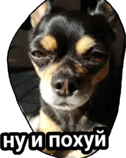 Sticker from Пошли нахуй твари ебаные
