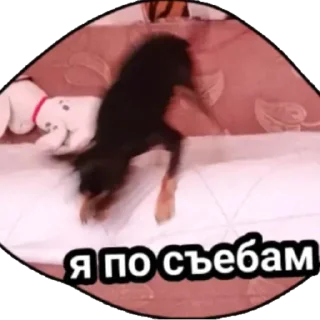 Sticker from Пошли нахуй твари ебаные
