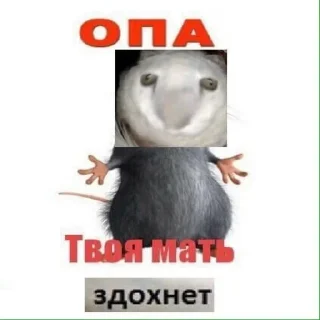 🙀 emoji анальний дефибрилятор 3000 Telegram sticker 5 of 71