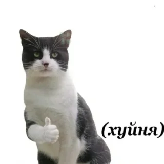 👍 emoji анальний дефибрилятор 3000 Telegram sticker 24 of 71