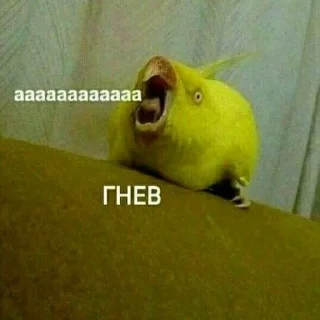😠 emoji анальний дефибрилятор 3000 Telegram sticker 13 of 71