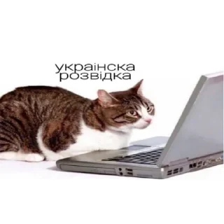 😟 emoji Стики 6267 из @Anonymnyi_chat_bot Telegram sticker 15 of 59