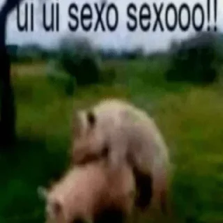 🐷 emoji Стики 6267 из @Anonymnyi_chat_bot Telegram sticker 1 of 59