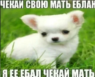 🤬 emoji Стики 6267 из @Anonymnyi_chat_bot Telegram sticker 7 of 59