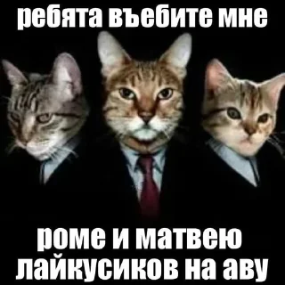 😒 emoji Стикеры от работника Райса ➡️ @Ctikerubot Telegram sticker 9 of 17