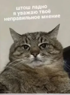 Sticker from Стикеры от работника Райса ➡️ @Ctikerubot