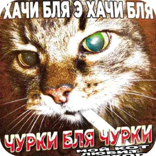 👍 emoji стикеры от сашки ➡️@Grom_Suko Telegram sticker 7 of 7