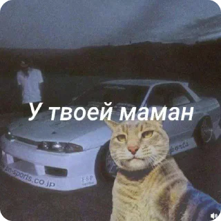 Sticker from Сигма