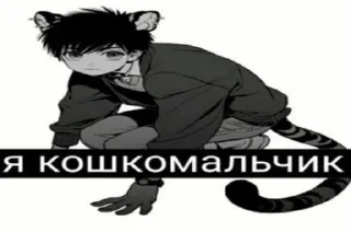 😼 emoji СМЕШНЫЕ ФОТО АНАПА 2022 Telegram sticker 3 of 50