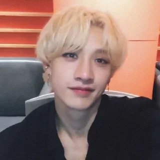 Sticker from Chani<3