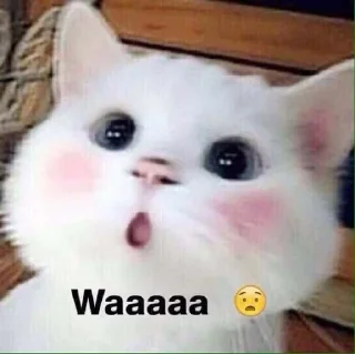 😻 emoji Alishka-Stickers ➡️ @Ctikerubot Telegram sticker 18 of 37
