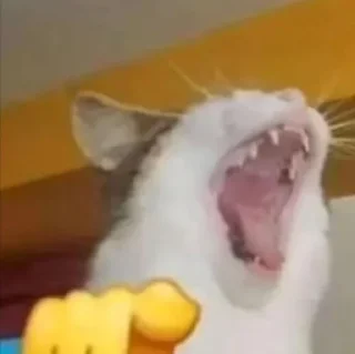 🌟 emoji Мой тг @TTperggow Telegram sticker 8 of 15