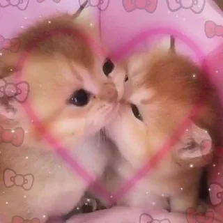 💗 emoji !!💗 Telegram sticker 16 of 120