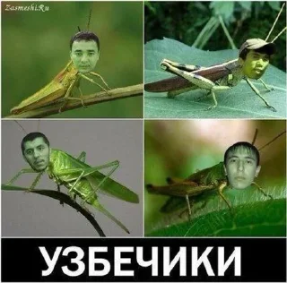 Sticker from Шлакоблокунь 2.0