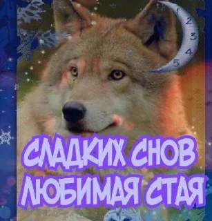 хочу арбуз sticker 3